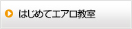 はじめてエアロ