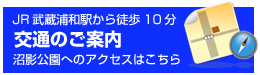 沼影公園 交通のご案内